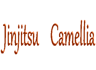 Jinjitsu    Camellia